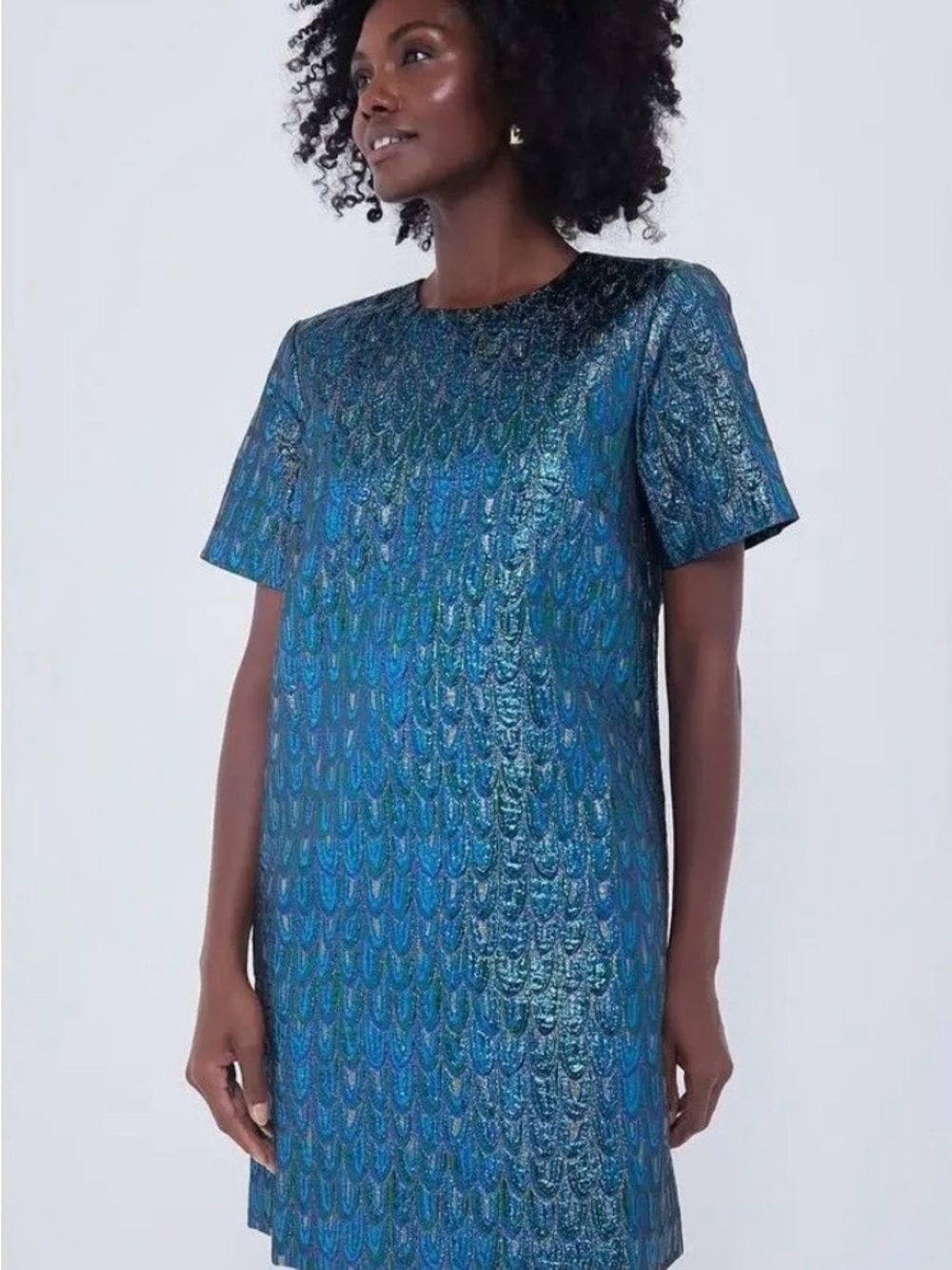 Tuckernuck Pomander Place Pavo Jacquard Mae Dress Size Small NWT